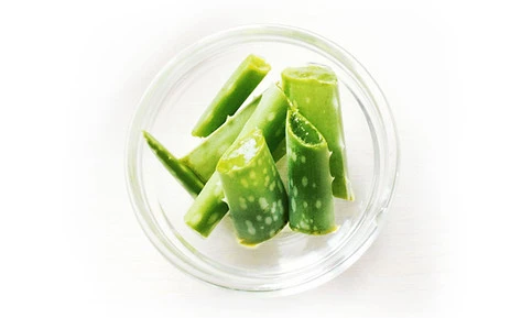 Purtier Indonesia Aloe Vera